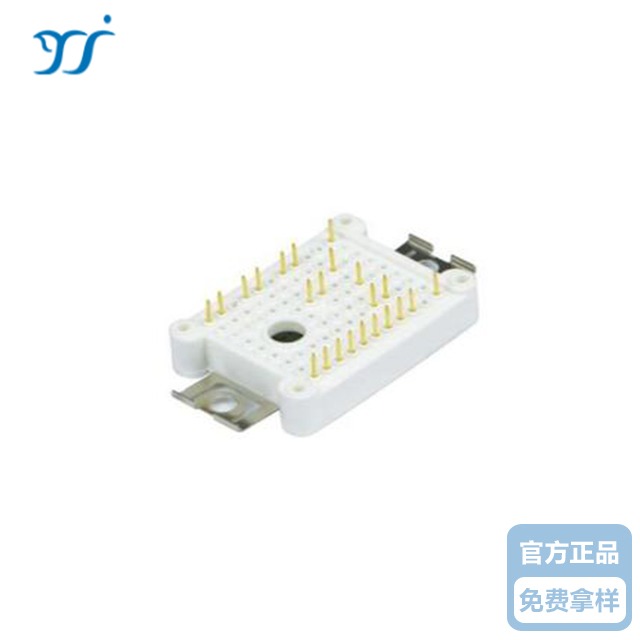 MG10P12P2  IGBT